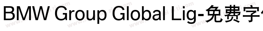 BMW Group Global Lig字体转换